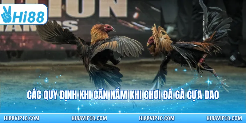 Các quy định khi cần nắm khi chơi đá gà cựa dao